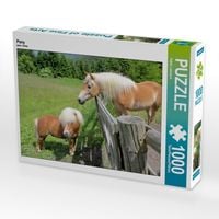 Produktbild: CALVENDO Puzzle Pony | 1000 Teile Lege-Gr&ouml;&szlig;e 64x48cm Foto-Puzzle f&uuml;r gl&uuml;ckliche Stunden