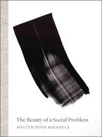 Produktbild: Michaels, W: The Beauty of a Social Problem