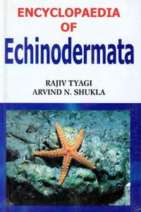 Produktbild: Encyclopaedia of Echinodermata (Phylum Echinodermata)