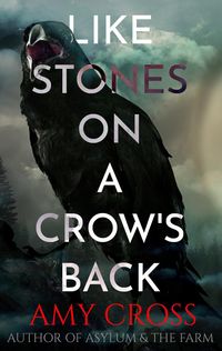 Produktbild: Like Stones on a Crow's Back (The Deal Trilogy, #2)