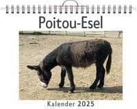 Produktbild: Poitou-Esel