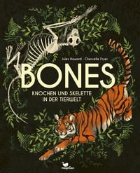Produktbild: Bones - Knochen und Skelette in der Tierwelt
