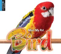 Produktbild: Bird