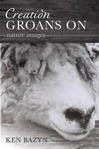 Produktbild: Creation Groans On