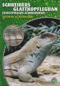 Produktbild: Schreibers Glattkopfleguan