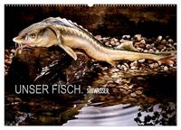 Produktbild: UNSER FISCH. S&Uuml;&szlig;WASSER. (Wandkalender 2026 DIN A2 quer), CALVENDO Monatskalender