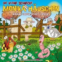 Produktbild: 78: Warum haben Schafe Locken?
