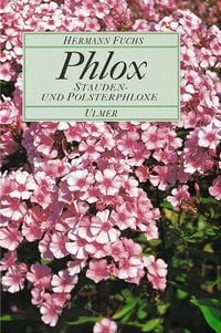 Produktbild: Phlox