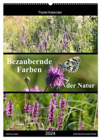 Bild vom Artikel Bezaubernde Farben der Natur (Wandkalender 2024 DIN A2 hoch), CALVENDO Monatskalender vom Autor Sabine Löwer