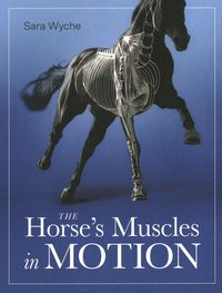 Produktbild: Horse's Muscles in Motion