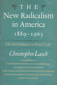Produktbild: New Radicalism in America