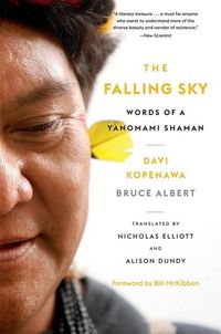 Produktbild: The Falling Sky