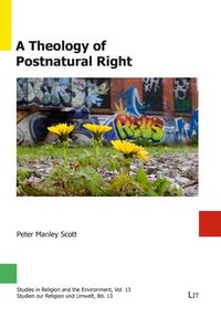 Produktbild: Scott, P: Theology of Postnatural Right
