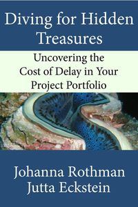 Produktbild: Diving for Hidden Treasures: Uncovering the Cost of Delay in Your Project Portfoilo