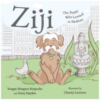 Produktbild: Ziji