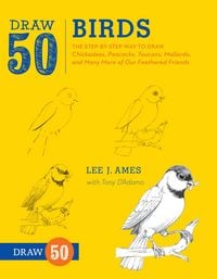 Produktbild: Draw 50 Birds
