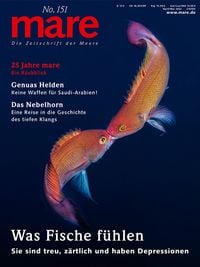 Bild vom Artikel Mare - Die Zeitschrift der Meere / No. 151 / Was Fische fühlen vom Autor 