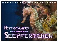 Produktbild: Hippocampus oder einfach nur Seepferdchen (Wandkalender 2026 DIN A4 quer), CALVENDO Monatskalender