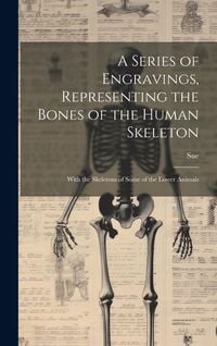 Produktbild: A Series of Engravings, Representing the Bones of the Human Skeleton