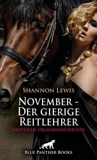 Produktbild: November - Der gierige Reitlehrer | Erotische Urlaubsgeschichte + 2 weitere Geschichten