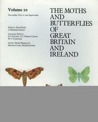 Produktbild: Noctuidae (Cuculliinae - Hypeninae) - Agaristidae