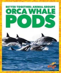 Produktbild: Orca Whale Pods