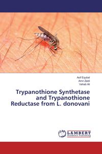 Produktbild: Trypanothione Synthetase and Trypanothione Reductase from L. donovani