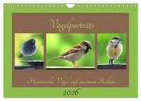 Produktbild: Vogelportr&auml;ts - Heimische V&ouml;gel auf meinem Balkon (Wandkalender 2026 DIN A4 quer), CALVENDO Monatskalender
