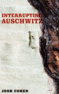 Produktbild: Interrupting Auschwitz