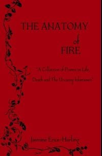 Produktbild: The Anatomy of Fire