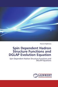 Produktbild: Spin Dependent Hadron Structure Functions and DGLAP Evolution Equation