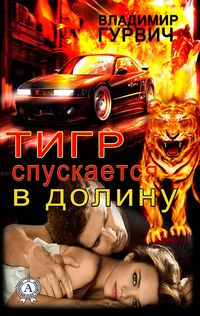 Produktbild: The tiger descends into the valley