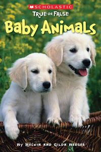 Produktbild: Baby Animals (Scholastic True or False)