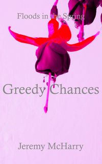 Produktbild: Greedy Chances