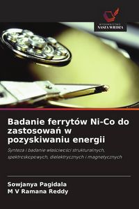 Produktbild: Badanie ferryt&oacute;w Ni-Co do zastosowa&iquest; w pozyskiwaniu energii