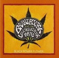 Produktbild: Black Power Flower
