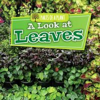 Produktbild: A Look at Leaves