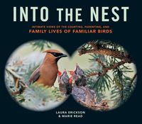 Produktbild: Into the Nest
