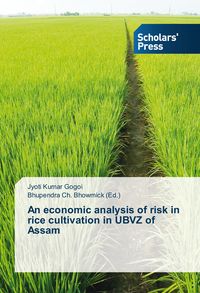 Produktbild: An economic analysis of risk in rice cultivation in UBVZ of Assam