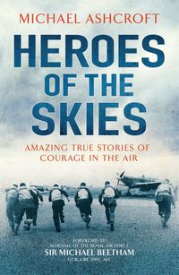 Produktbild: Heroes of the Skies