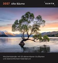Produktbild: Alte B&auml;ume - KUNTH Postkartenkalender 2027