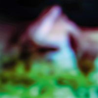 Produktbild: Disc Rot (LP)
