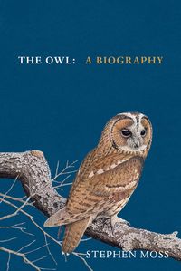 Bild vom Artikel The Owl vom Autor Stephen Moss