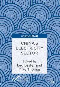 Produktbild: China's Electricity Sector