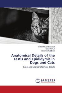 Produktbild: Anatomical Details of the Testis and Epididymis in Dogs and Cats
