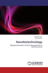 Produktbild: Arya, V: Nanobiotechnology