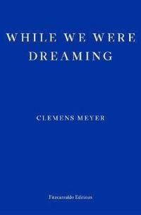Produktbild: While We Were Dreaming