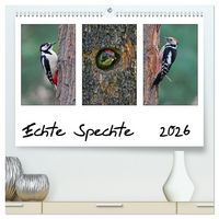 Produktbild: Echte Spechte (hochwertiger Premium Wandkalender 2026 DIN A2 quer), Kunstdruck in Hochglanz