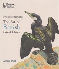 Produktbild: The Art of British Natural History