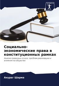 Produktbild: Social'no-&auml;konomicheskie prawa w konstitucionnyh ramkah